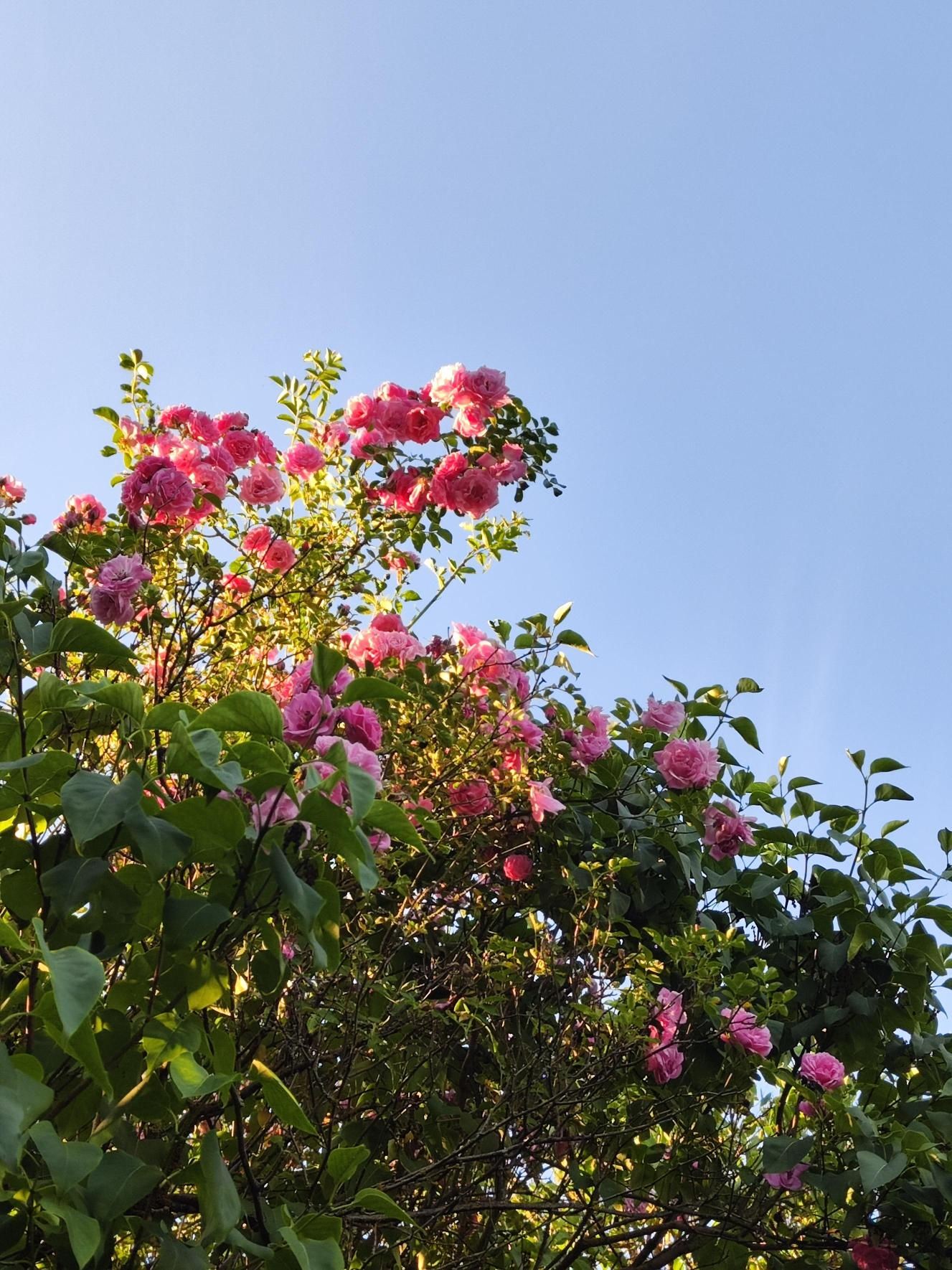 Beautiful Day! image
