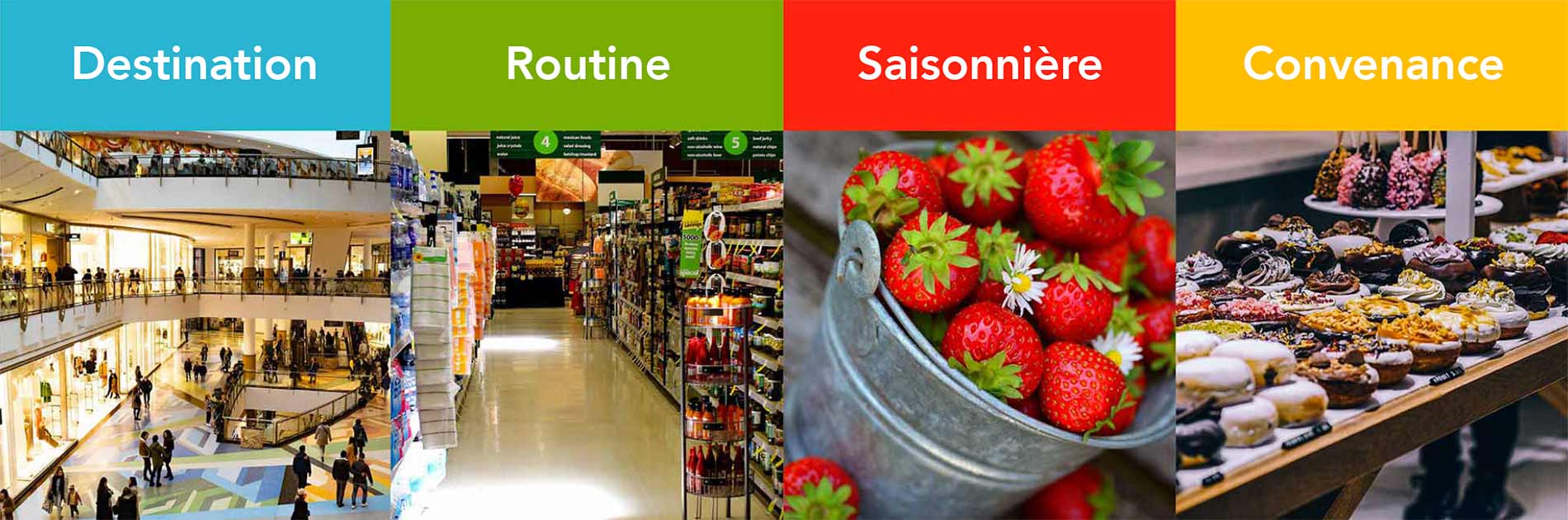 Importance de la catégorie