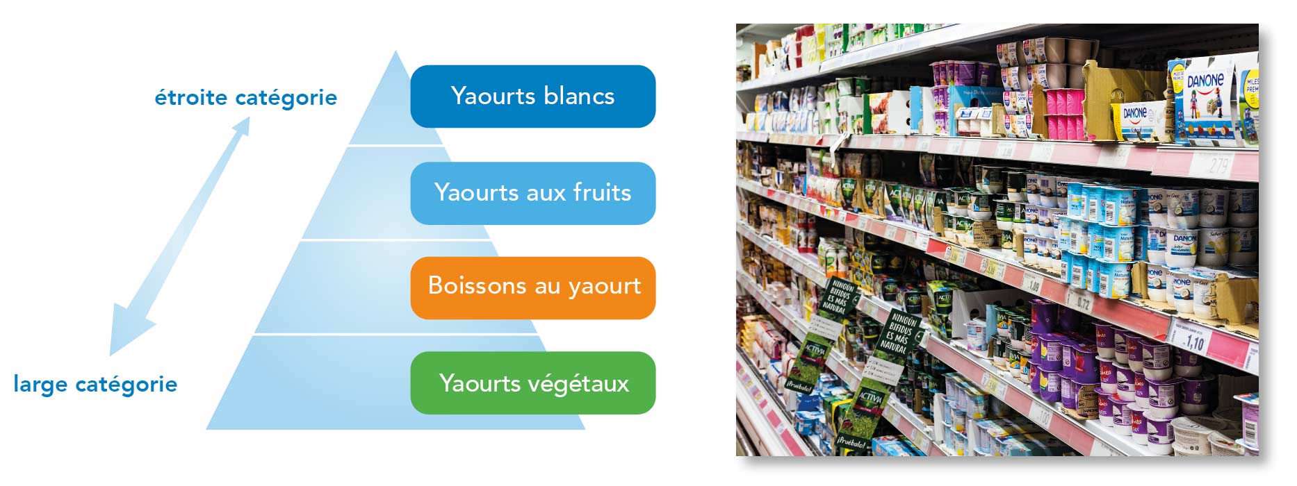 Catégorie et produits